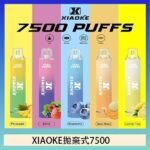 梟客XIAOKE一次性電子菸拋棄式7500口